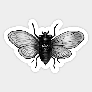 Cicada x Sticker